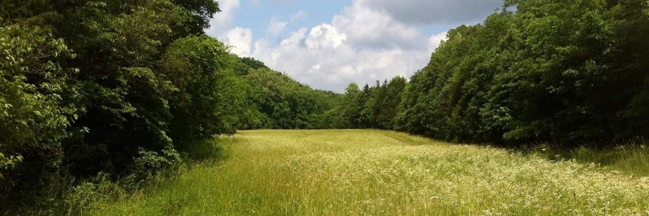 Tim Paszkiewicz banner