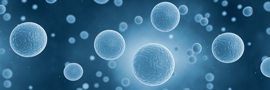 INDEX project banner