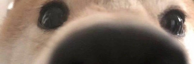 mochicass's profile banner image