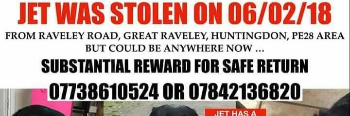 stolen.. jets army ! banner