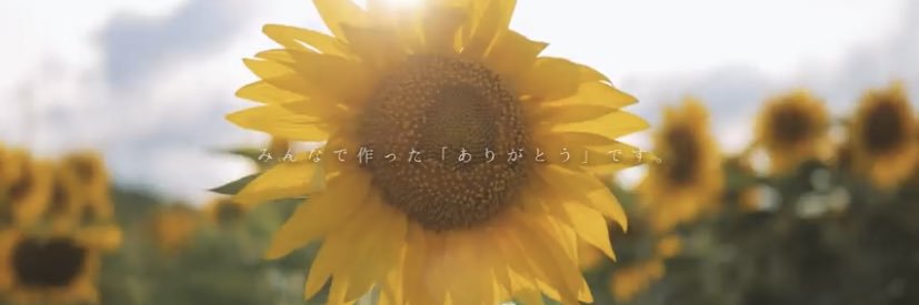 0722coffee's profile banner image