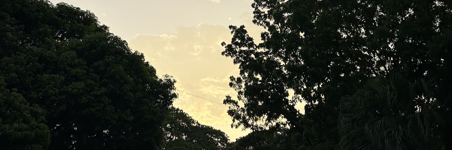 beachbuddybeer's profile banner image