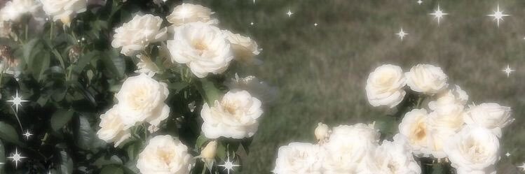 soqq20's profile banner image