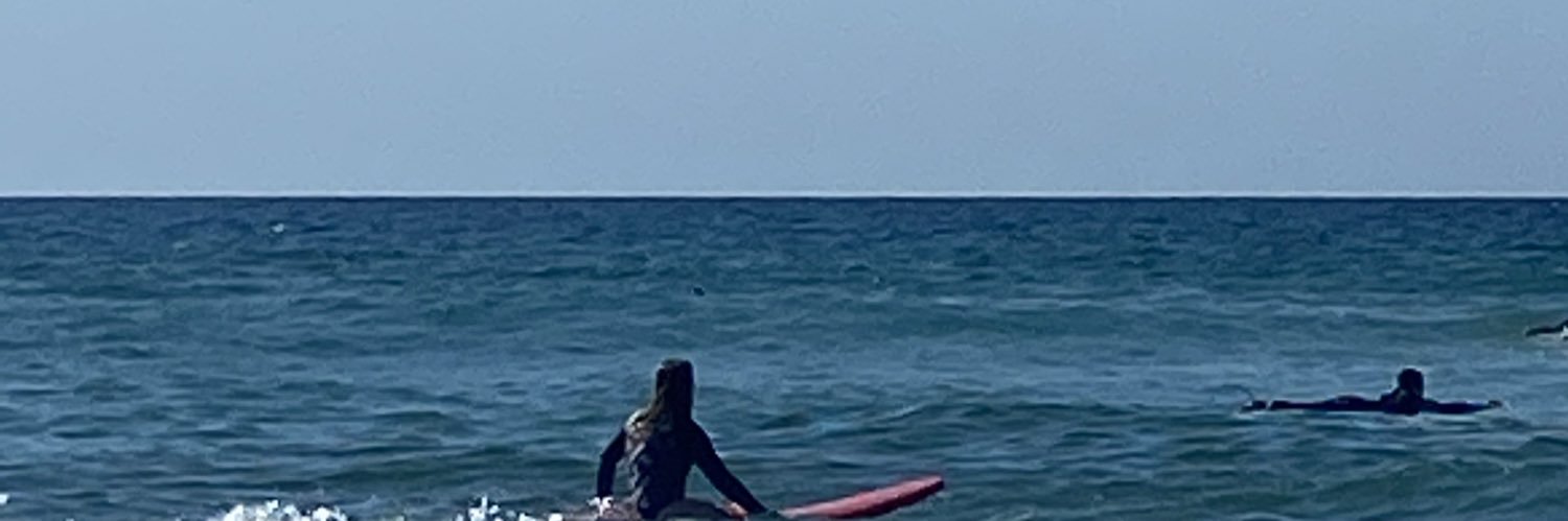 LiesVerburgh's profile banner image