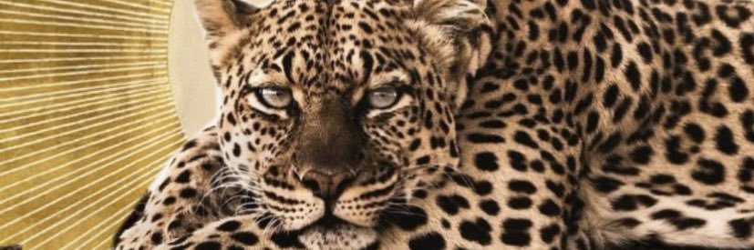 lorysssz's profile banner image