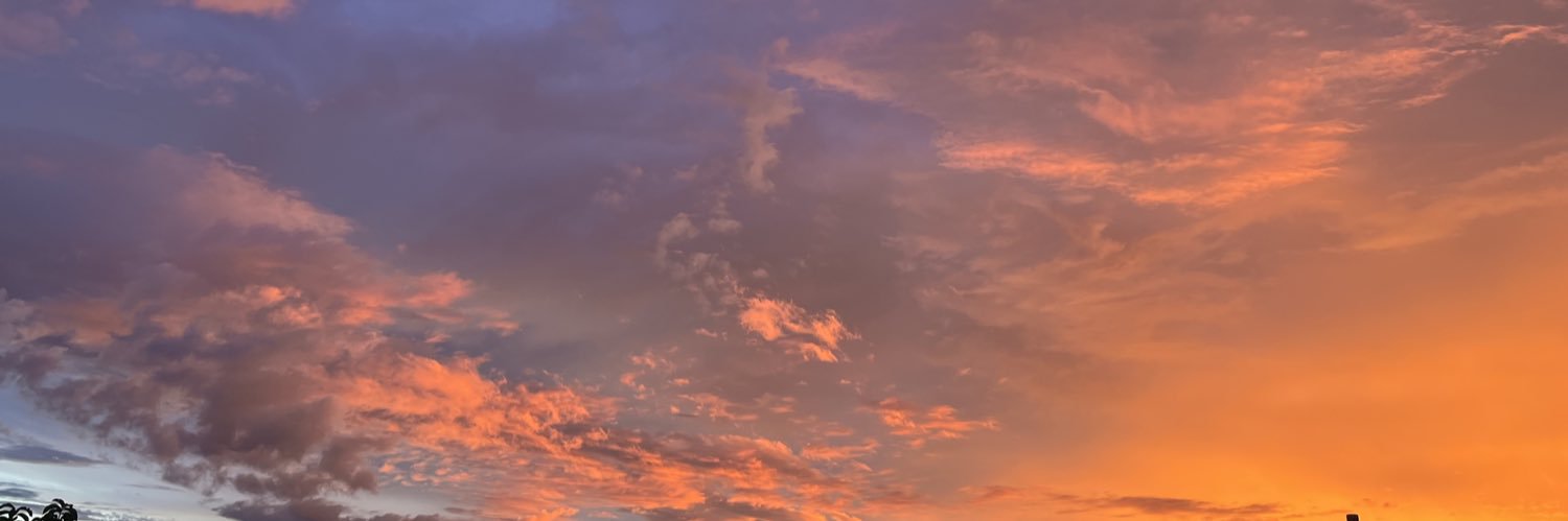 Nayda Barrera banner