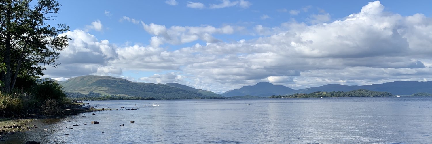 michelle anderson banner