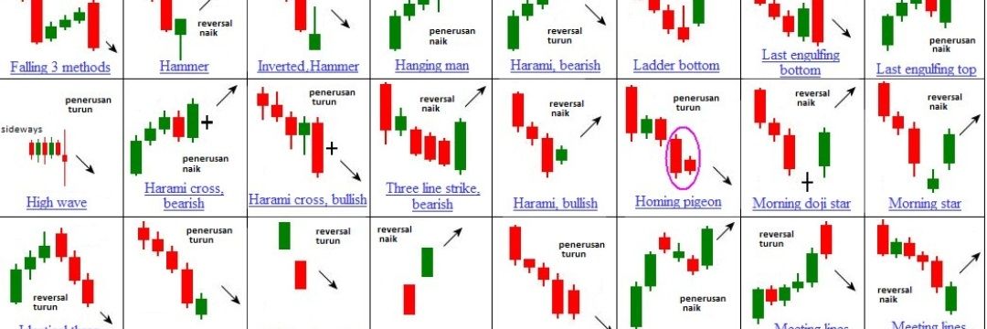 crypto bignner banner