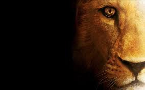 bermasRoland's profile banner image