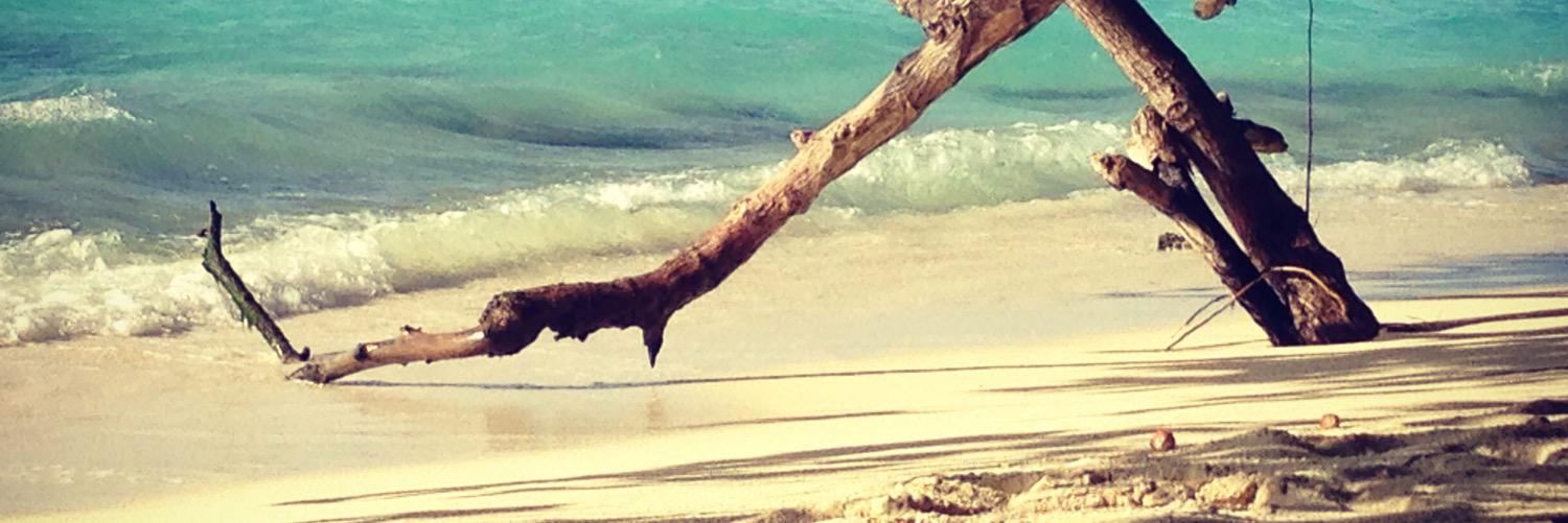 Swampy15's profile banner image