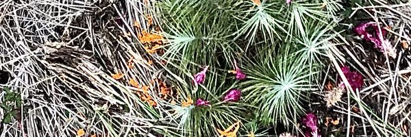 DavidMourino Profile Banner