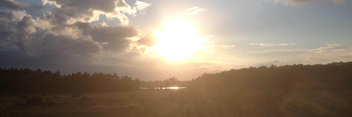 Anders Rönquist banner