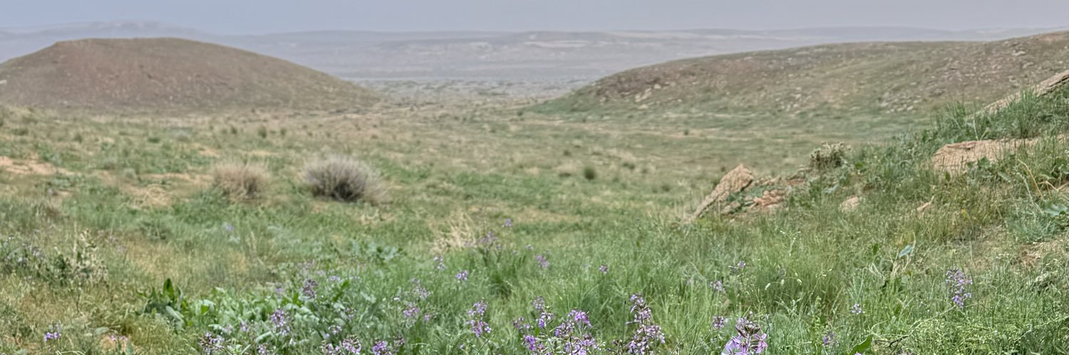 حسن الهويمل banner