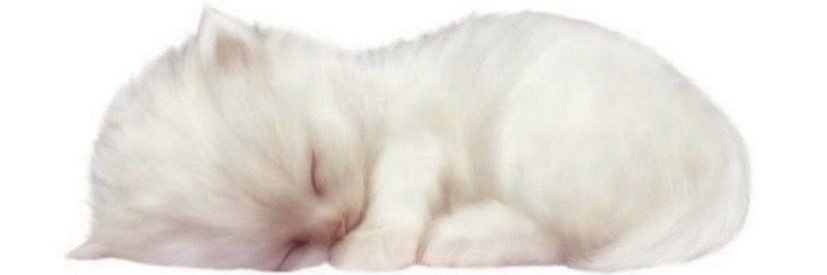 𝑎 banner
