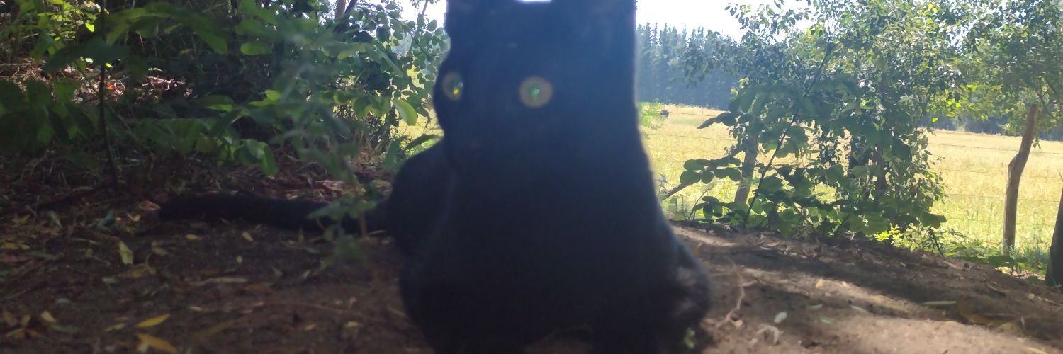 monicor's profile banner image
