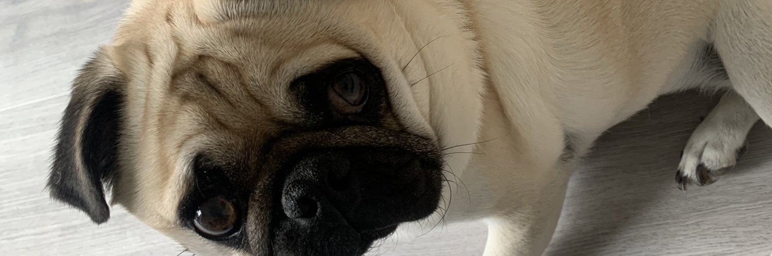 T banner