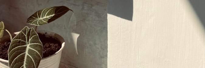 iwa404's profile banner image