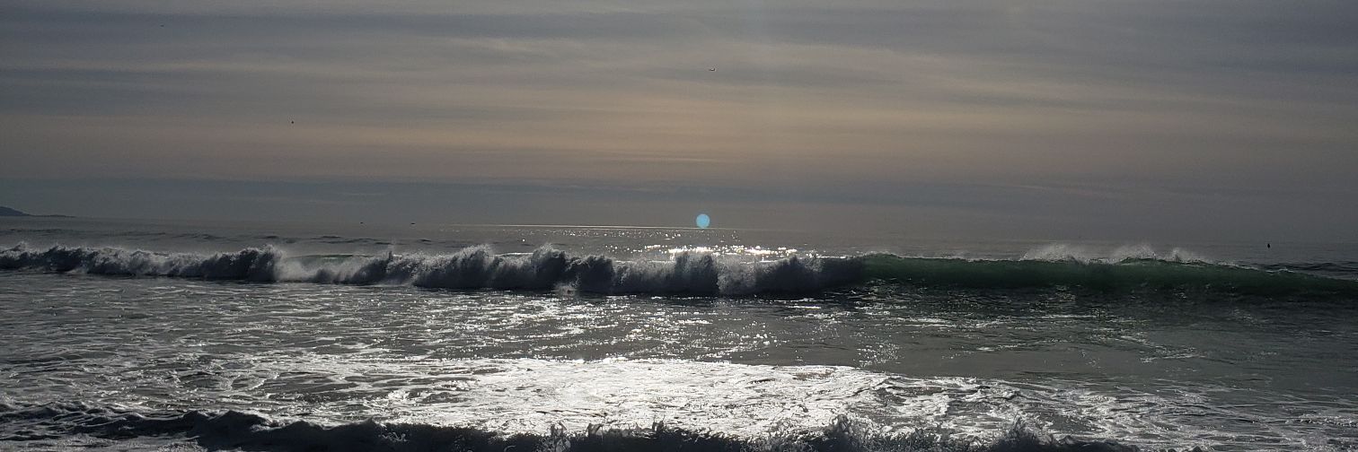 David_Green5000 🍉🏄🏽‍♂️ 🏊🏽‍♂️🇯🇴 banner