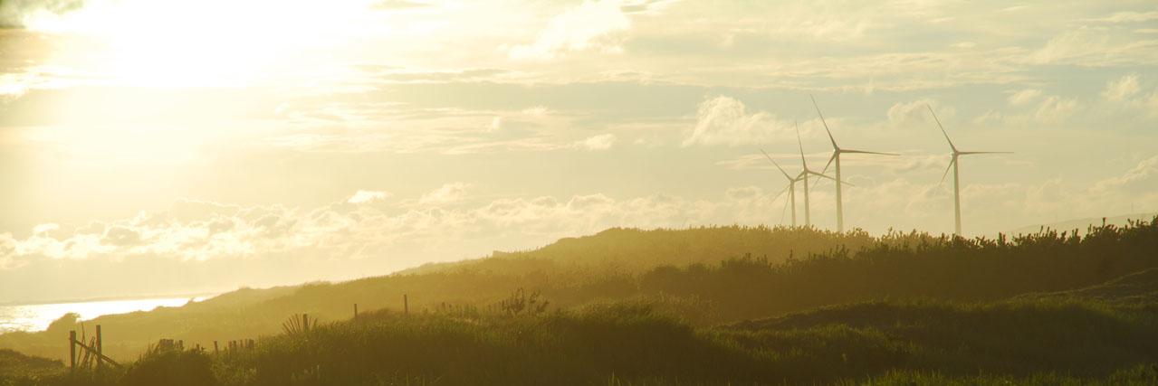 s_ariga's profile banner image