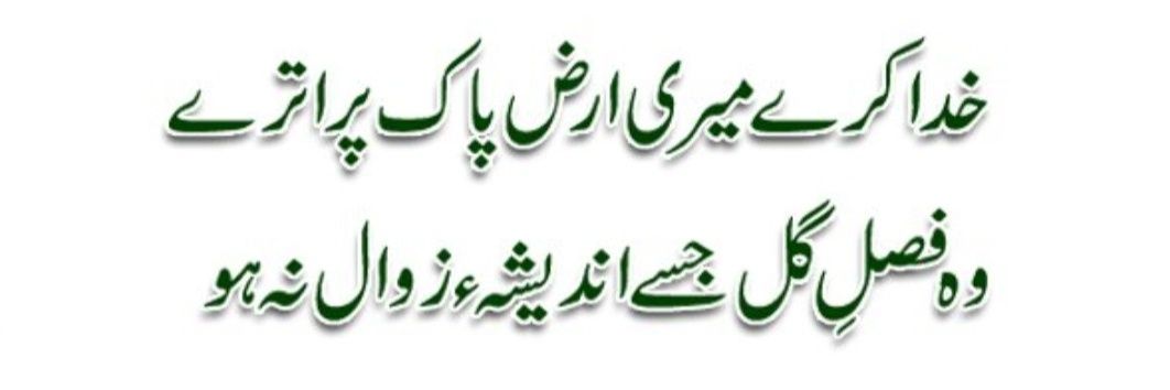 zoya khan ☘️ banner