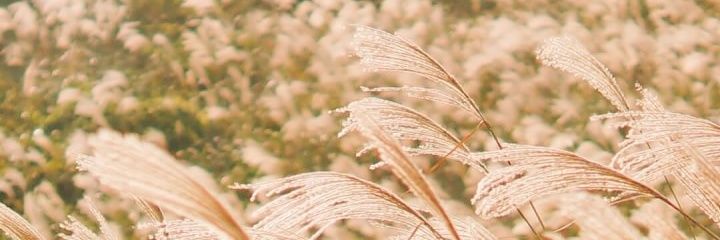 purary22's profile banner image