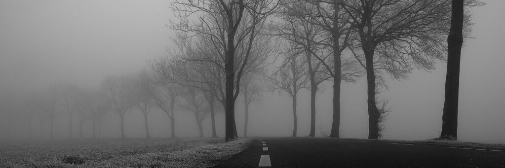 Sab_Brassard's profile banner image