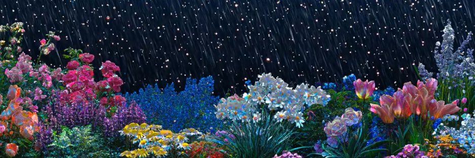 𝜗ৎ 𝐑𝐲𝐨𝐭𝐚 𝜗ৎ banner