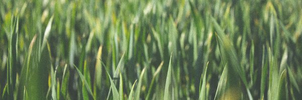 AwardsMindful Profile Banner