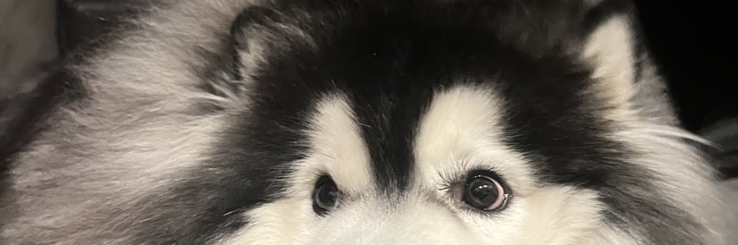 mildnarat's profile banner image