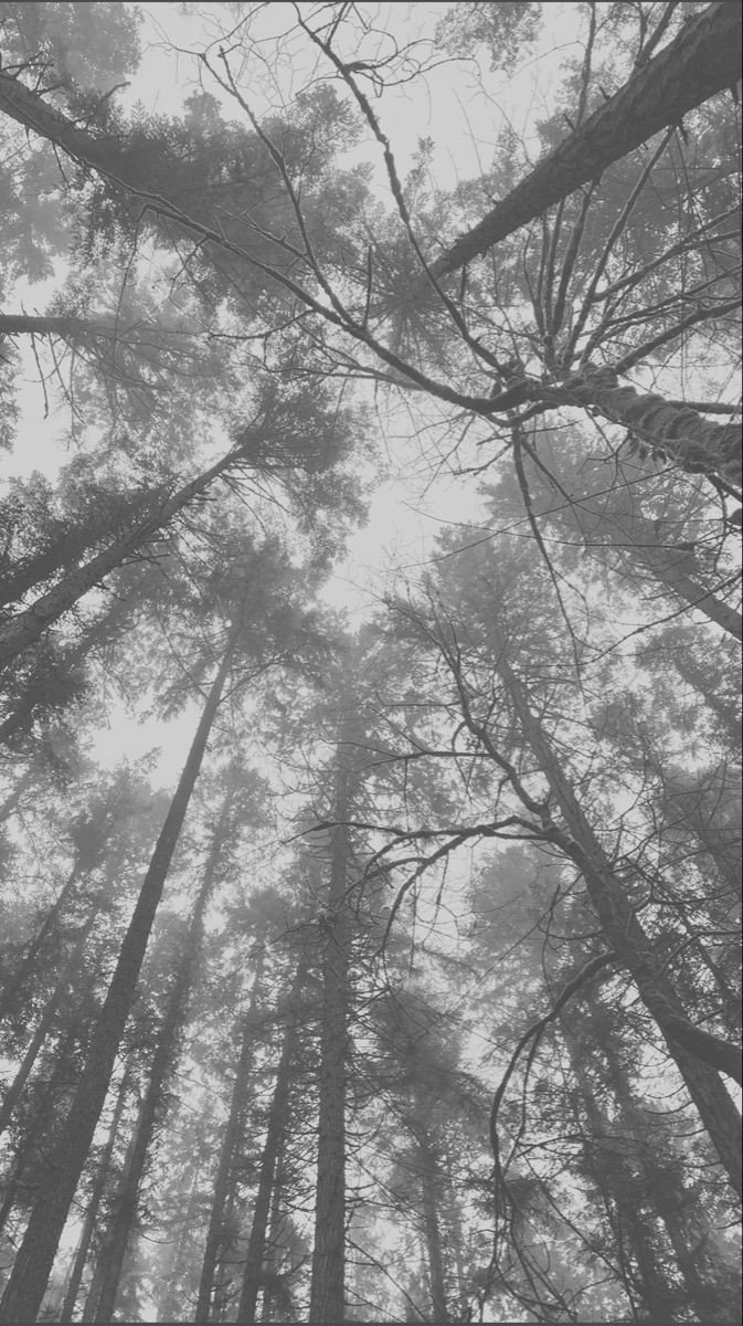 ipersensitive's profile banner image