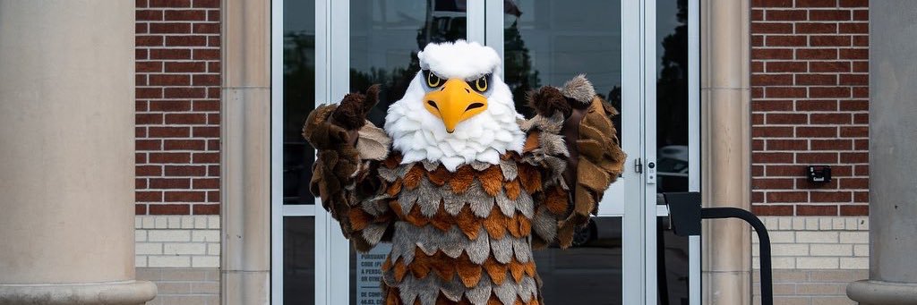 AHS.Eagle banner