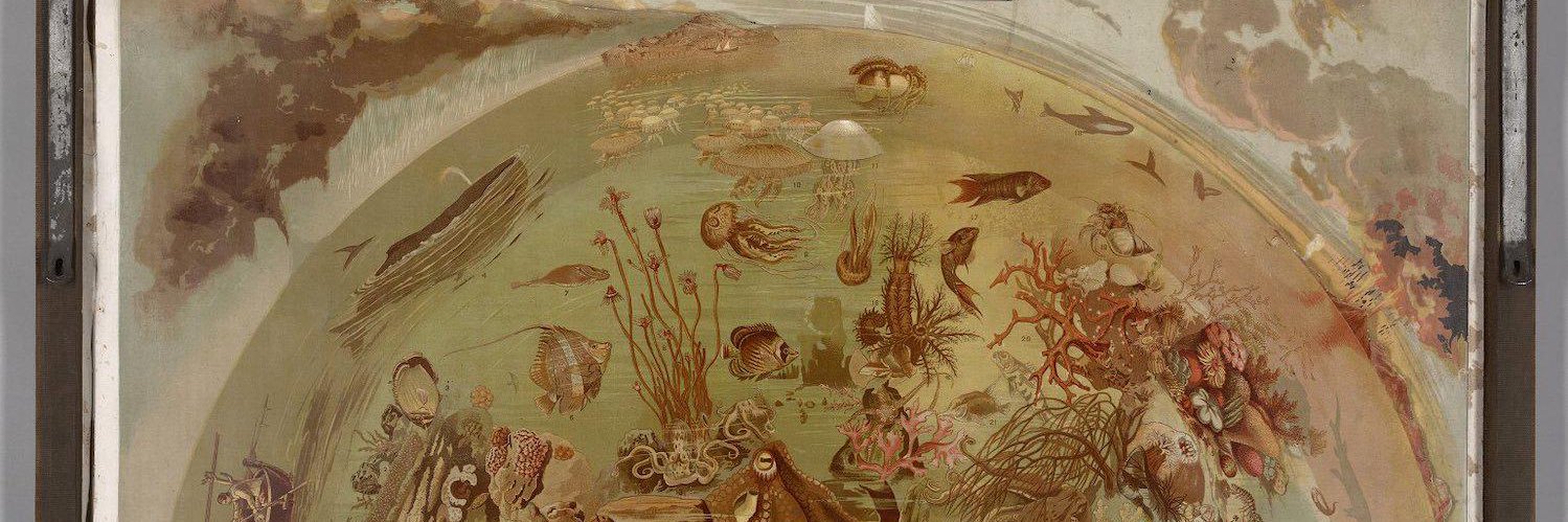 Alder Picckl⚓ banner