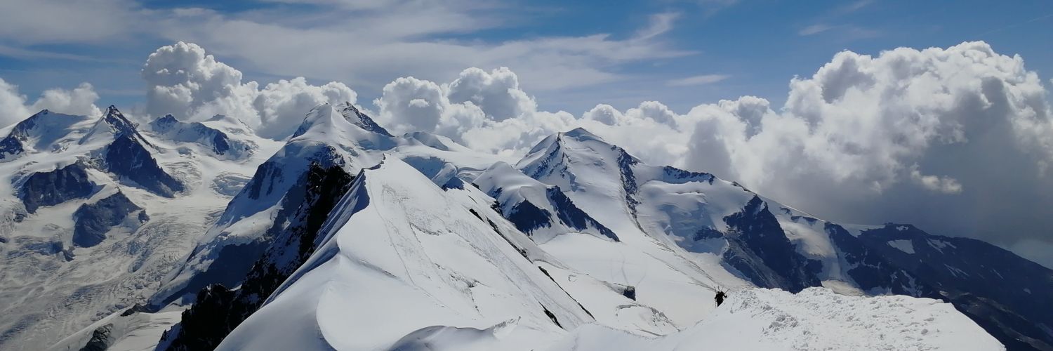 Roger Vicquéry banner