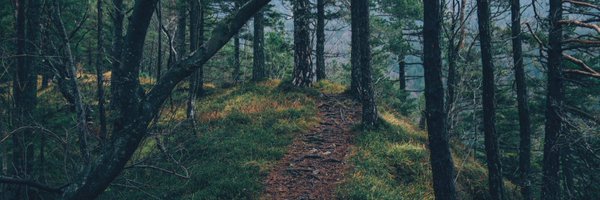 RobBos81 Profile Banner