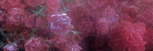 jenenthusiast Profile Banner