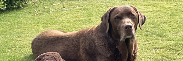 aysenur Profile Banner