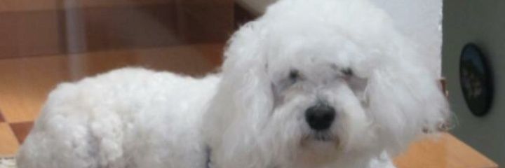 lilopez27's profile banner image