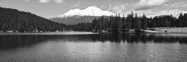 Alex_Zhuko Profile Banner
