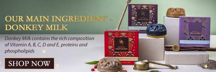 Organiko-Beautifying Life banner