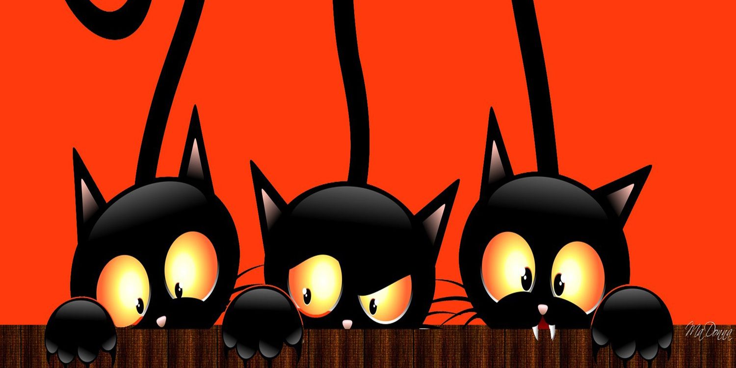 Mª Araceli banner