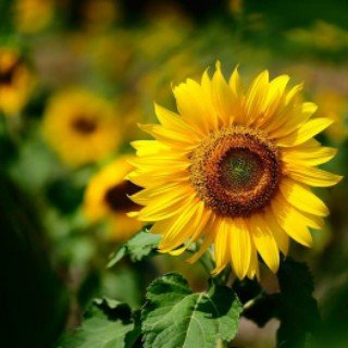 CristyaaH's profile banner image