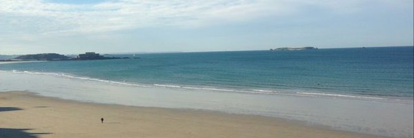 teroddam Profile Banner