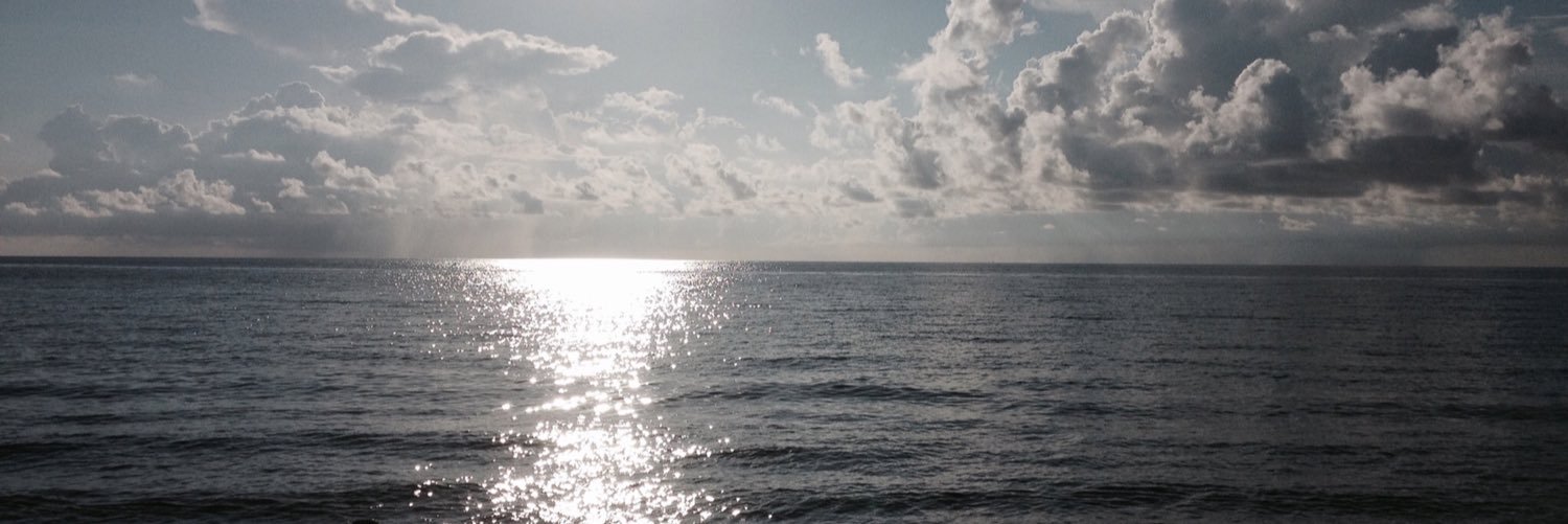 StuartTaub's profile banner image