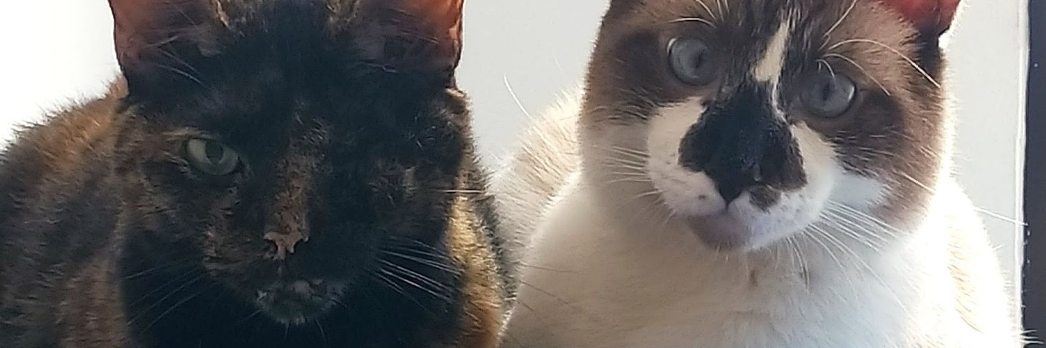 _mafemendoza's profile banner image