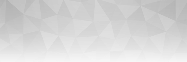 NeoBirdSoft Profile Banner