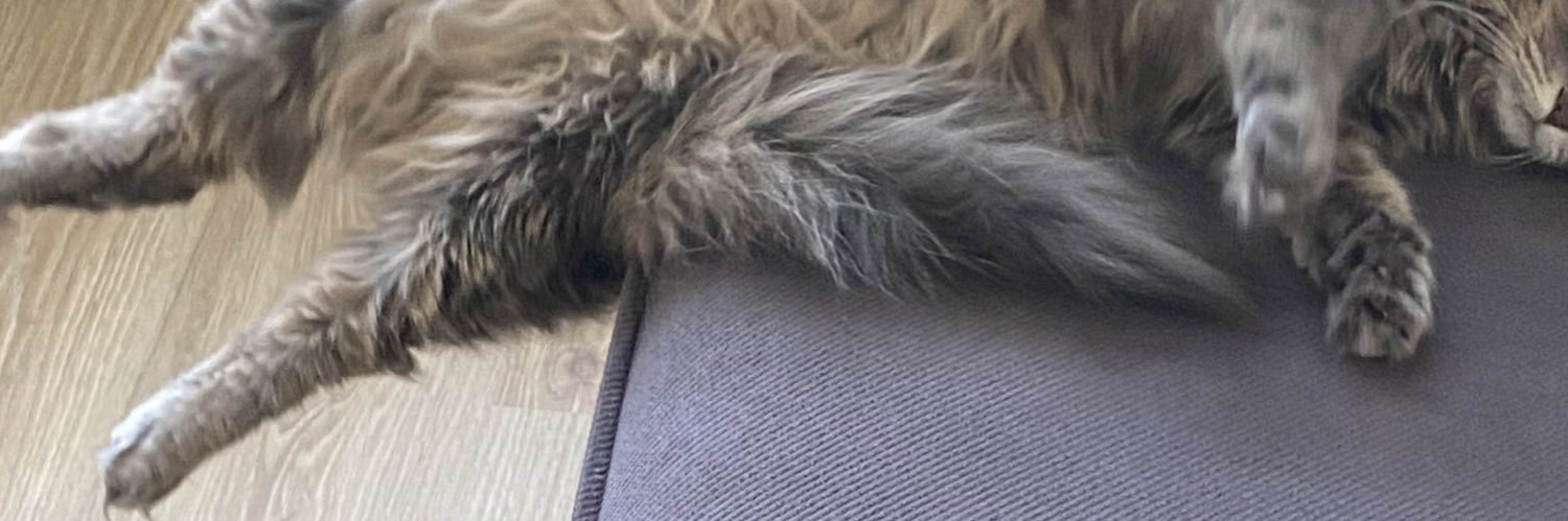 boyledegildim's profile banner image