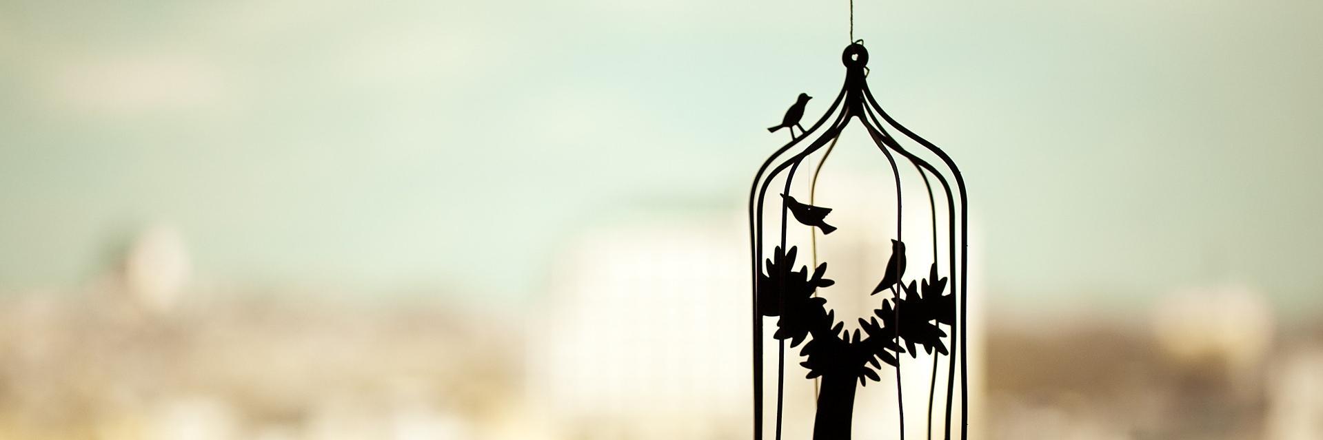 Dormiteca's profile banner image