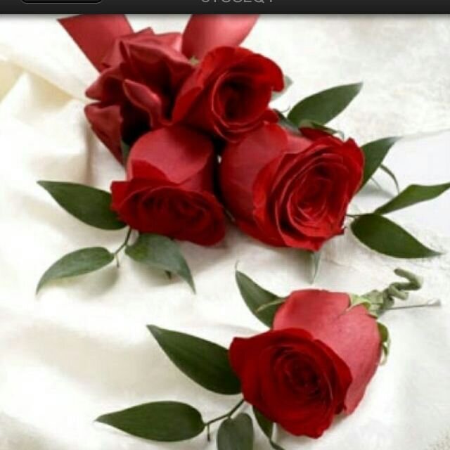 adyaa2468's profile banner image