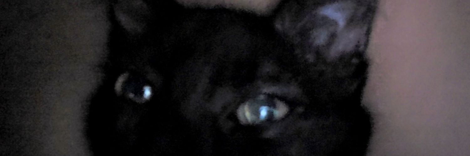 zerocool015's profile banner image