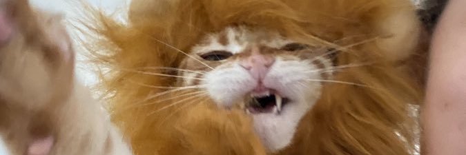 annxnks's profile banner image